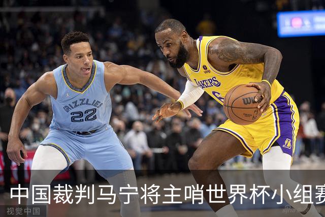 中国裁判马宁将主哨世界杯小组赛第二轮比赛